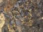 Preview: Gold in Pitchblende